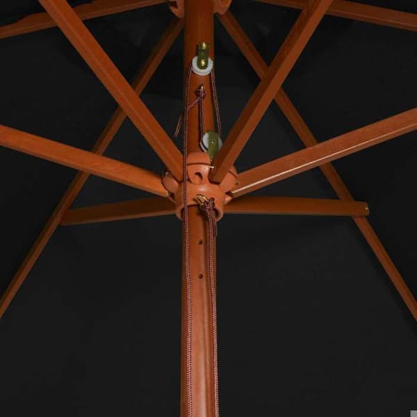 Maison Exclusive - Haveparasol med sort træmast 200x300 cm