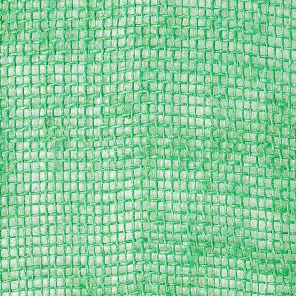 Maison Exclusive - Juteband 25 x 5000 cm Grön