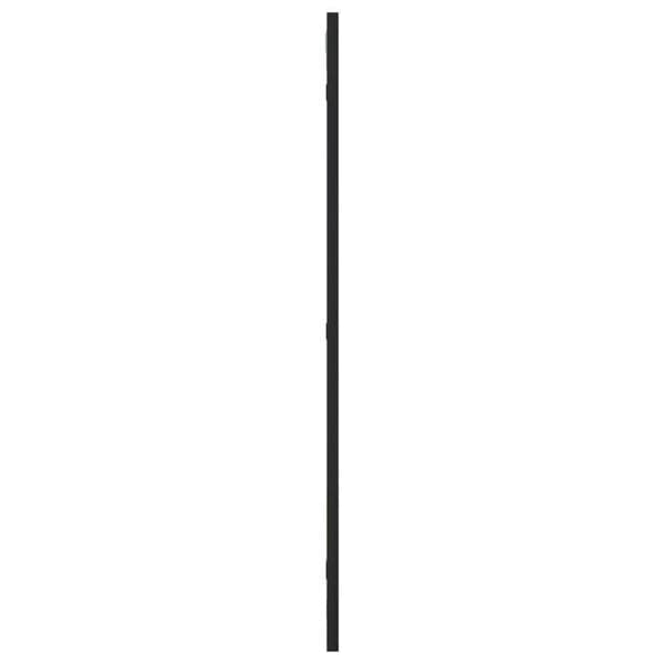 Maison Exclusive - Svart väggspegel 40x80 cm rektangulär järn
