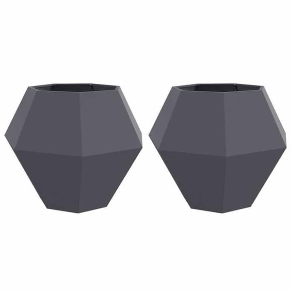Maison Exclusive - Jardinière 2 stk Anthracite 100 x 100 x 80 cm Stål antracit