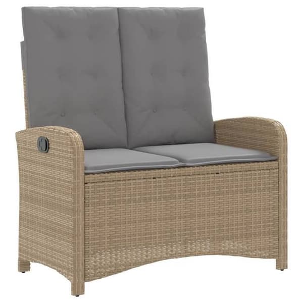 Maison Exclusive - Puutarhakalusteryhmä ja 2 kpl beige polyrottinkityynyä