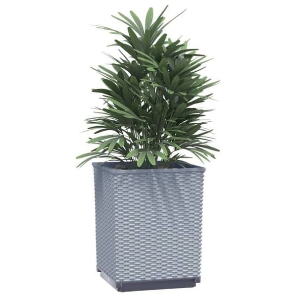Maison Exclusive - Blomlådor 2 st grå ljus 30x30x37 cm polypropen