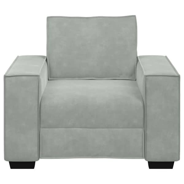 Maison Exclusive - Lysegrå Stol 100x78x84 cm Velour
