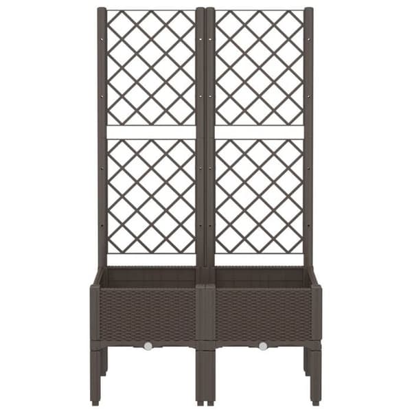 Maison Exclusive - Ruskea trellissipottu 80x40x142 cm PP brun