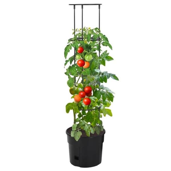 Maison Exclusive - Tomatkruka Anthracite Ø29,5x115 cm Polypropylen antracit