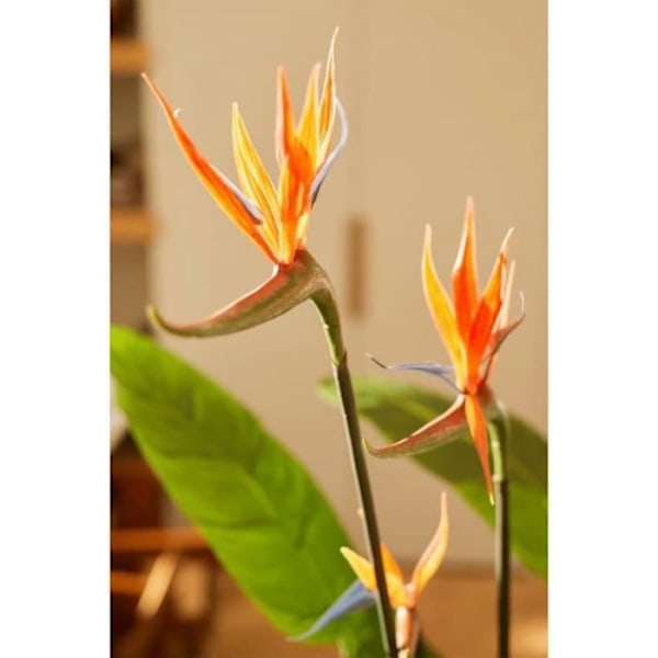 Konstgjord växt Strelitzia Emerald - 120 cm - Grön och orange - Tropisk atmosfär - Polyeten Grönt och orange