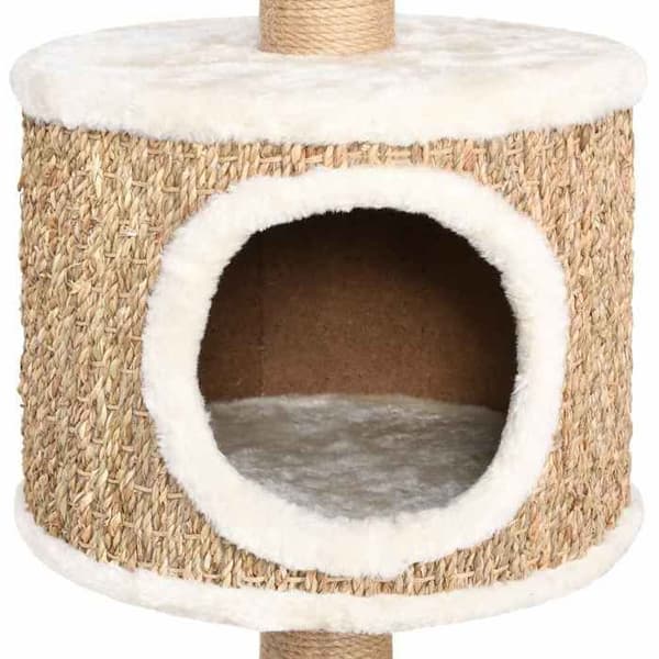 Maison Exclusive - Kattträd med klösträningar 123 cm Havsörter beige