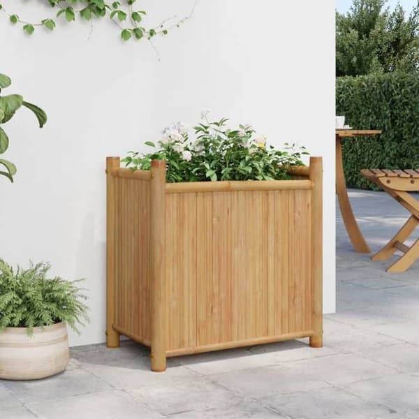 Maison Exclusive - Jardinière 50x30x50 cm bambu