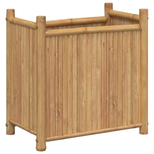 Maison Exclusive - Jardinière 50x30x50 cm bambu