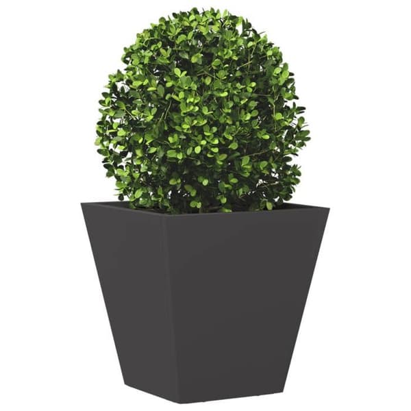 Maison Exclusive - Sort plantekasse 30x30x30 cm stål Svart