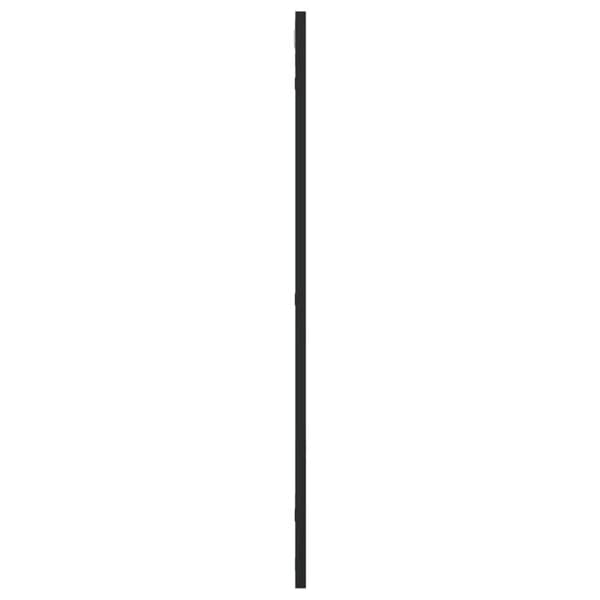 Maison Exclusive - Svart väggspegel 50x80 cm rektangulär järn