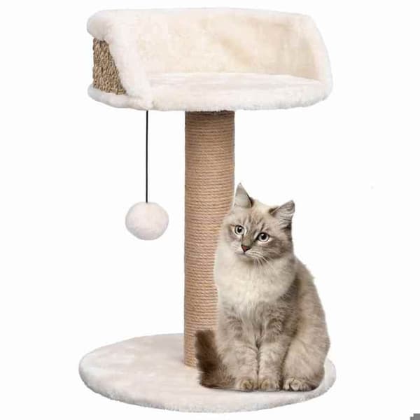 Maison Exclusive - Kattträd med klösträningar 49 cm Havsörter beige