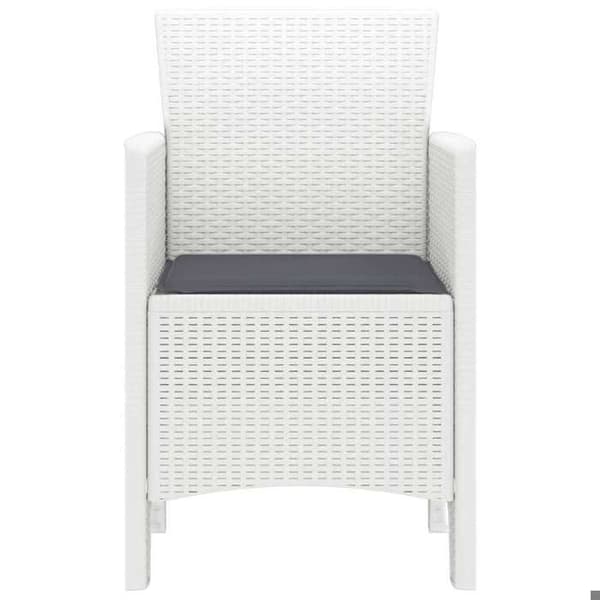 Maison Exclusive - Puutarhatuoli 2 kpl Valkoinen Polypropeeni