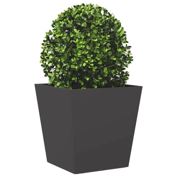 Maison Exclusive - 2 stk. sorte jardinières 40x40x40 cm i stål Svart