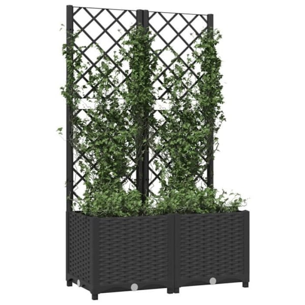 Plantekasse med espalier Sort 80x40x136 cm PP Svart