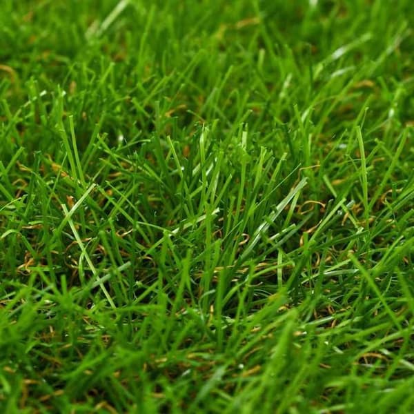 Maison Exclusive - Konstgräs 1x15 m/30 mm Grön