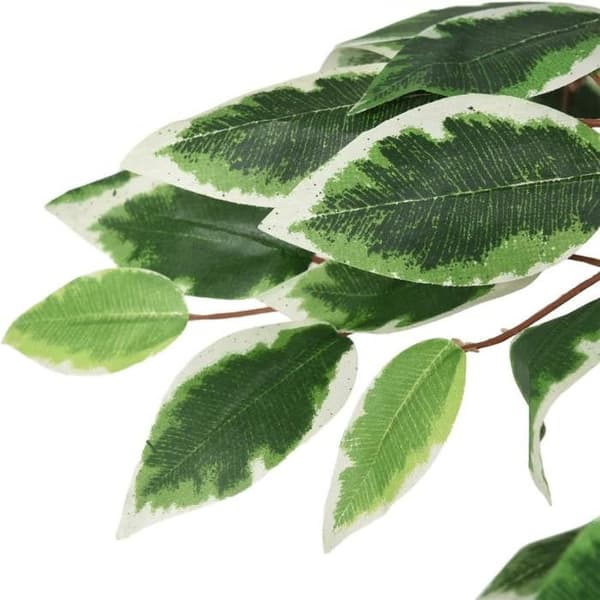 Maison Exclusive - Kunstig Ficus 756 blade 150 cm grøn