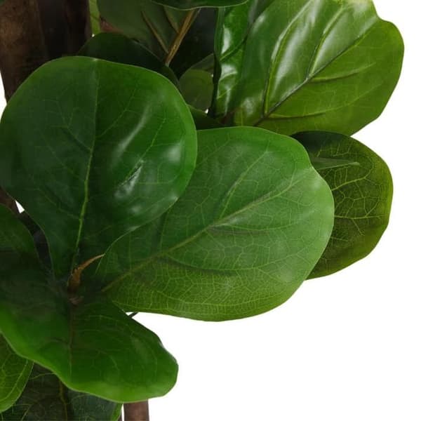 Eksklusiv Hus - Kunstig Ficus lyrata 232 blade 180 cm grøn