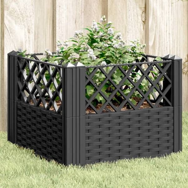 Maison Exclusive - Plantekasse med sorte pinde 43,5x43,5x43,5 cm PP Svart