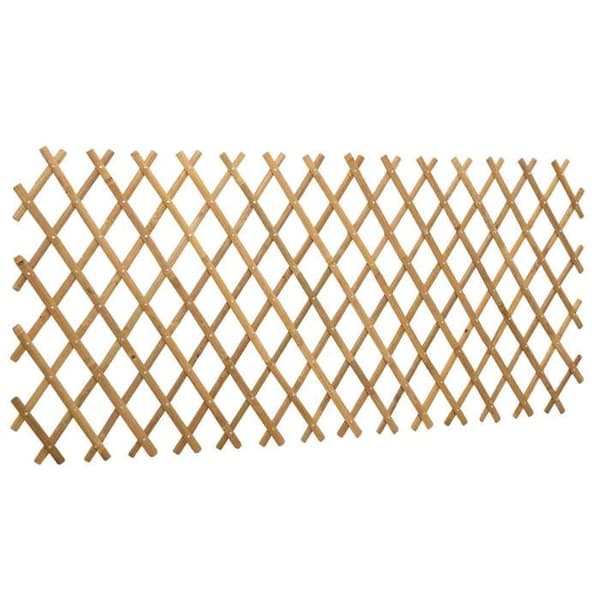 Maison Exclusive - Utsträckbar spaljé för stängsel 2 st 100 x 105 cm Bambus naturlig bambu
