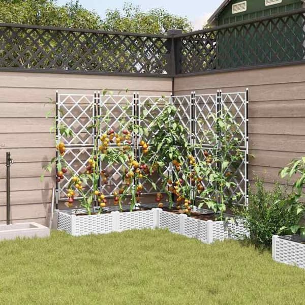 Cache-pot / växtkärl - EXKLUSIV HEM - Pack 5 stycken - PP - 120×120×125,5 cm - Vit Vit