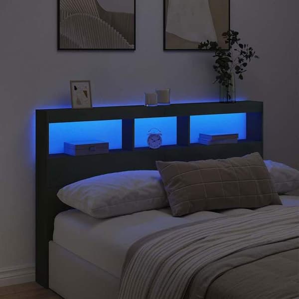 Maison Exclusive - Senghovedgærde med LED sort 160x17x102 cm