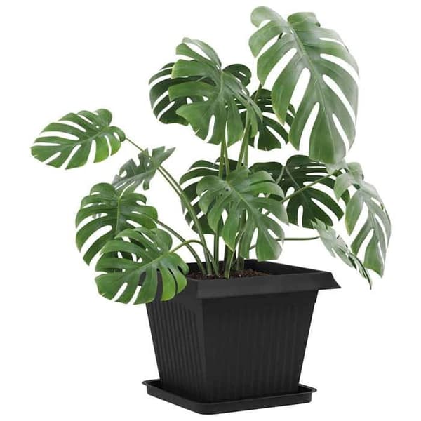 Blomsterbakke - EKSKLUSIV HUS - Moderne - Sort - 36 x 36 x 2,5 cm - 24 stk. Sort