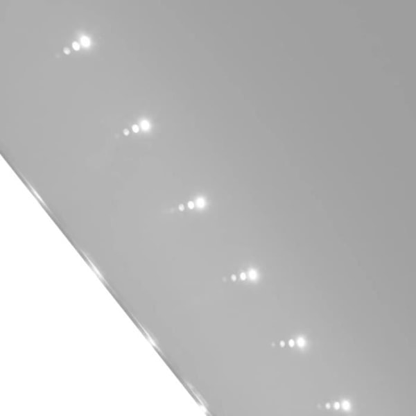 Badrumsspegel med LED-lampor 100 x 60 cm (L x H)60 [cm]