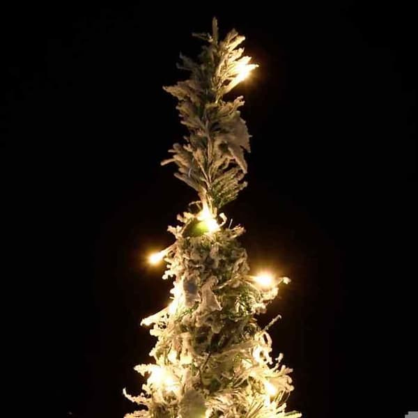 Maison Exclusive - Fällbar konstgjord julgran med flockad snö 100 LED Vit (flockad snö)