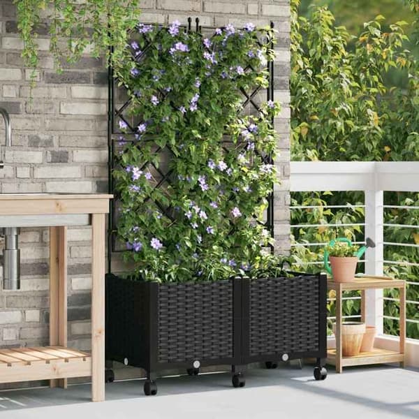 Maison Exclusive - Puutarhakärry trellisin ja pyörin 2 kpl Musta 80 x 40 x 149 cm
