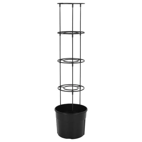Maison Exclusive - Tomatkruka Anthracite Ø29,5x115 cm Polypropylen antracit