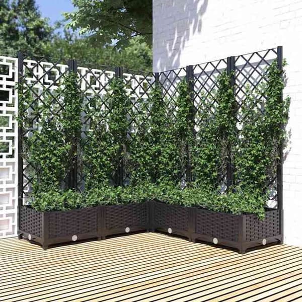 Maison Exclusive - Jardin Noir 120 x 120 x 121,5 cm