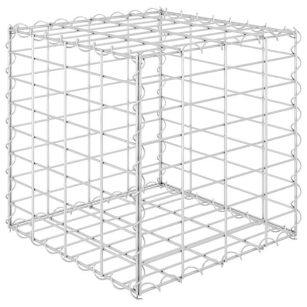 Gabion kub upphöjd säng Ståltråd 40x40x40 cm Pengar