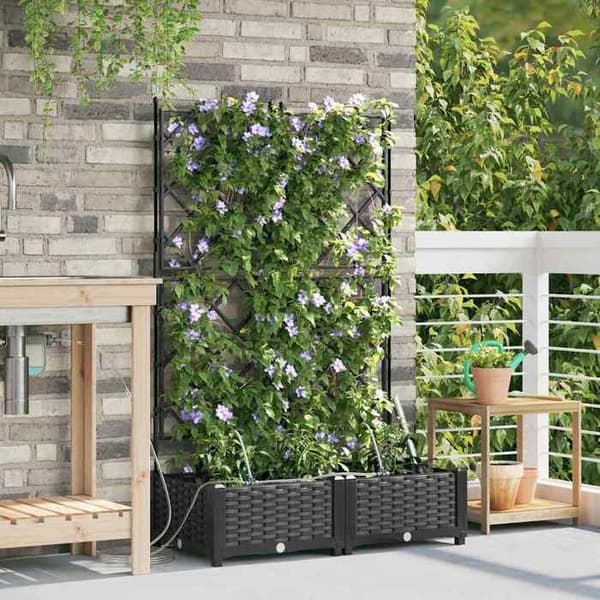 Maison Exclusive - Havekrukke 2 stk Sort 80 x 40 x 126 cm PP
