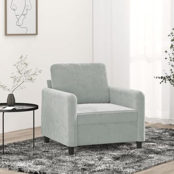 Maison Exclusive - Ljusgrå Fåtölj 60 cm Sammet Ljusgrått