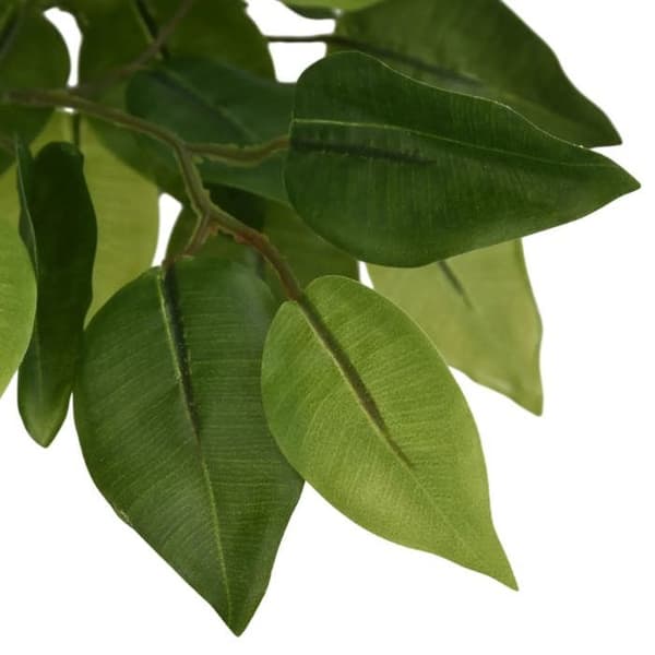 Maison Exclusive - Kunstig Ficus 378 blade 80 cm grøn Grön