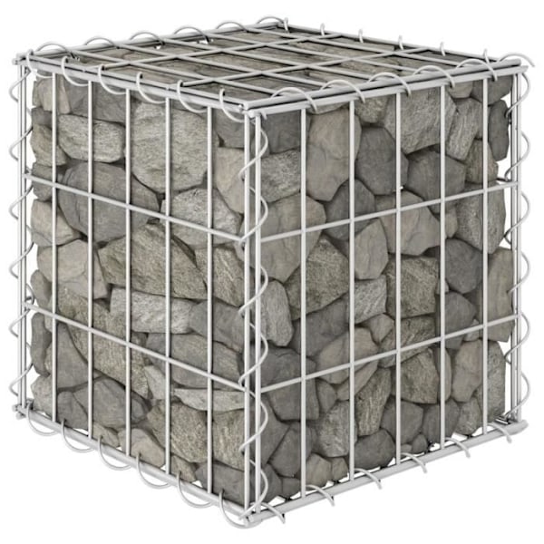 Gabion kuution korotettu sänky Teräslanka 30x30x30 cm30 [cm] Pengar