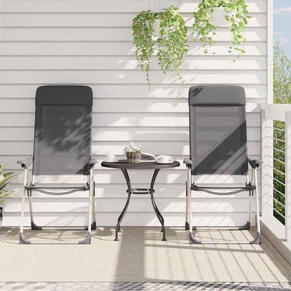 Maison Exclusive - Fällbara campingstolar set om 2 Grå Aluminium
