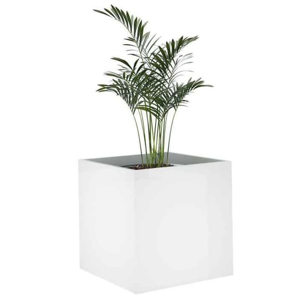 Maison Exclusive - Blanka planter 40x40x40 cm Ingenjörsträ