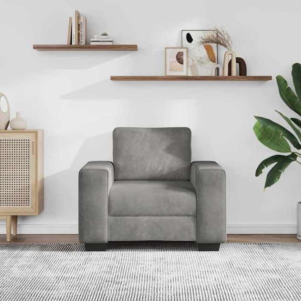 Maison Exclusive - Lysegrå Stol 100x77x82 cm Velour