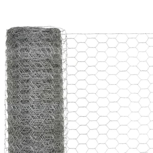 Maison Exclusive - Kanarialaatikko Verkko Galvanoitu Teräs 25x1,2 m Hopea Silver