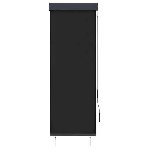 Maison Exclusive - Ulkokäyttöön tarkoitettu rullakauppa 60 x 250 cm antrasiitti antracit