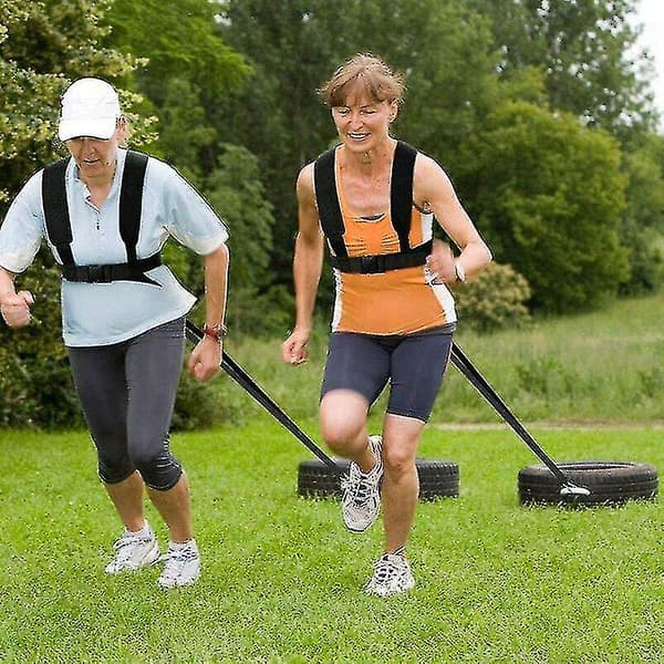 Sledehundesel Black