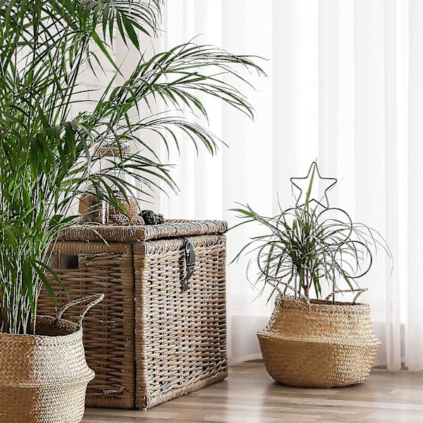 8 Pakker Indendørs Trellis Lille Trellis Til Potteplanter, 15,7 Tommer Stabelbar Husplante Trellis Til Klatreplanter, Indendørs Plante