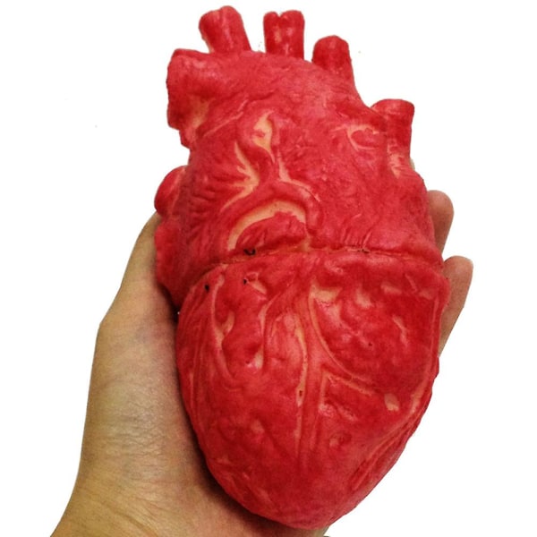 Fake Human Heart Latex Life Size Heart Bloody Horror Rekvisitter til Halloween