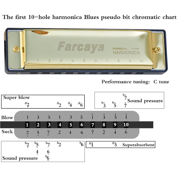 Harmonika for barn, studenter, nybegynnere, voksne, bluesharp, diatonisk C-tone, 10 huller, 20 toner, metall munnorgel med hardt etui og rengjøringsklut