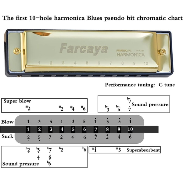 Harmonikka Lapsille, Opiskelijoille, Aloittelijoille, Aikuisten Blues-Harmonikka Diatoninen C-Ääni 10 Reikää 20 Sävelmää Metalli Suupilli Kovan Kotelon Ja Puhdistusliinan Kanssa