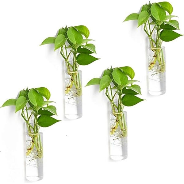 Vägghängande planteringskärl, 4 st glaskrukor Hängande glasterrarium, växtbehållare av glas Väggvas Perfekt för förökning av hydroponiska växter Hem G