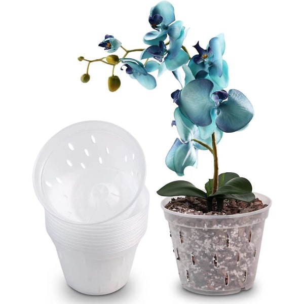 Orchid Plantepotter Klar Orchid Plantepotter Plast Plantepotter Udendørs og Indendørs Brug 5 Tommer 10 Pack