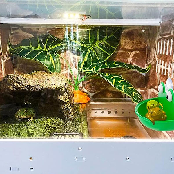 2-pak Froskehabitat Søt Akvariumdekorasjon for Paddefrosk, Trefrosk, Tadpole og Små Akvatiske Dyr